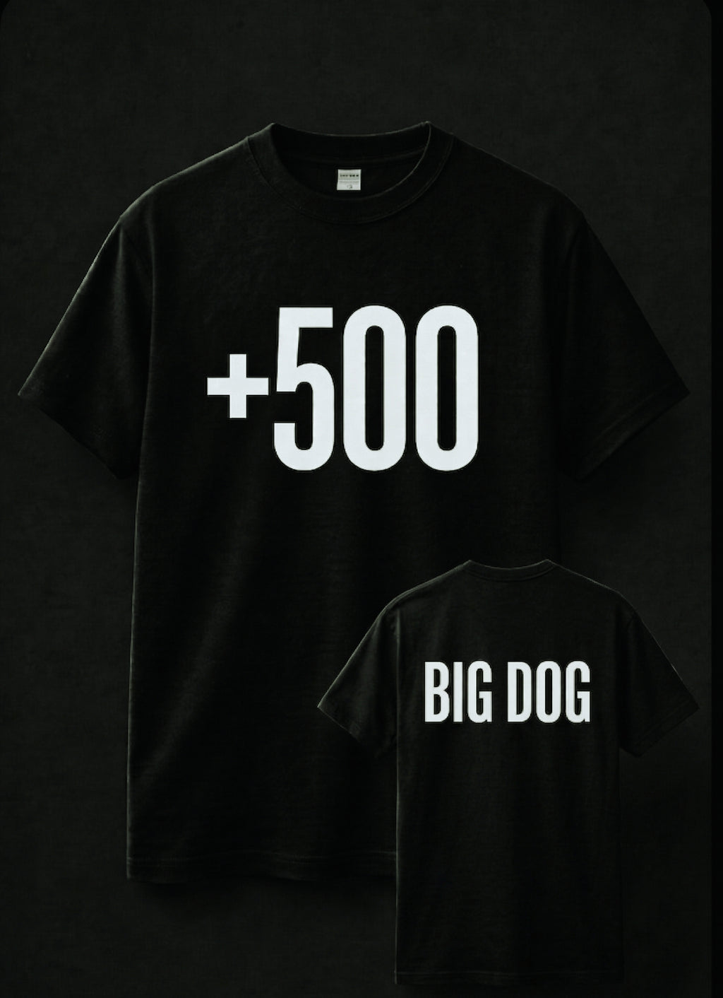 +500/ BIG DOG