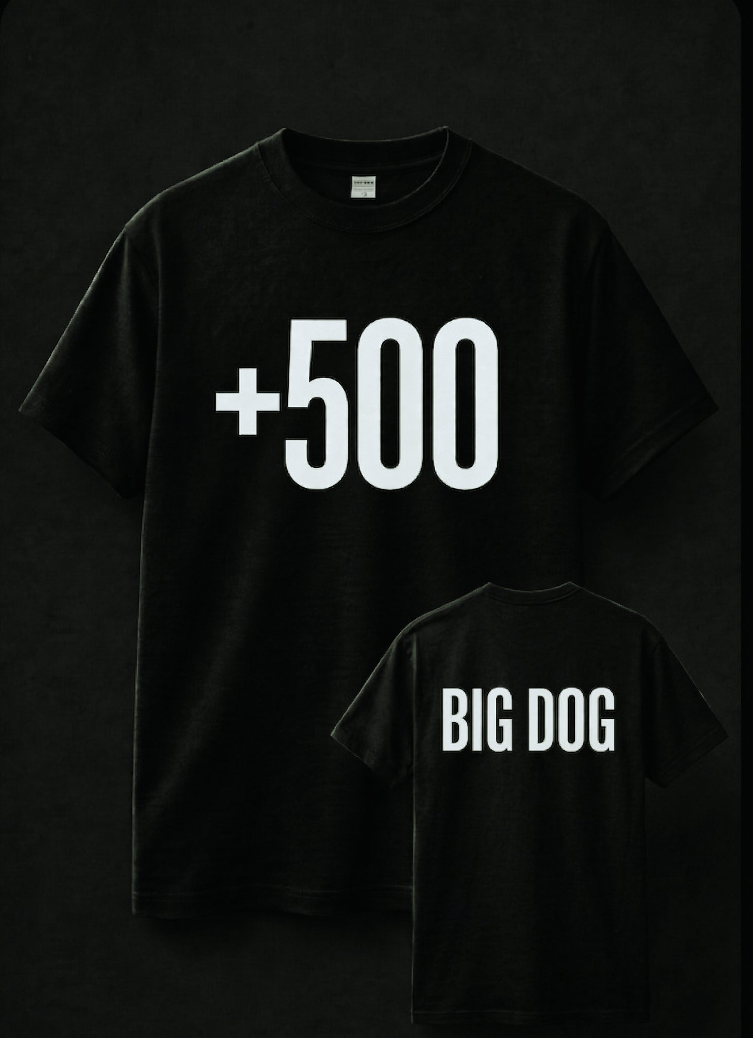 +500/ BIG DOG