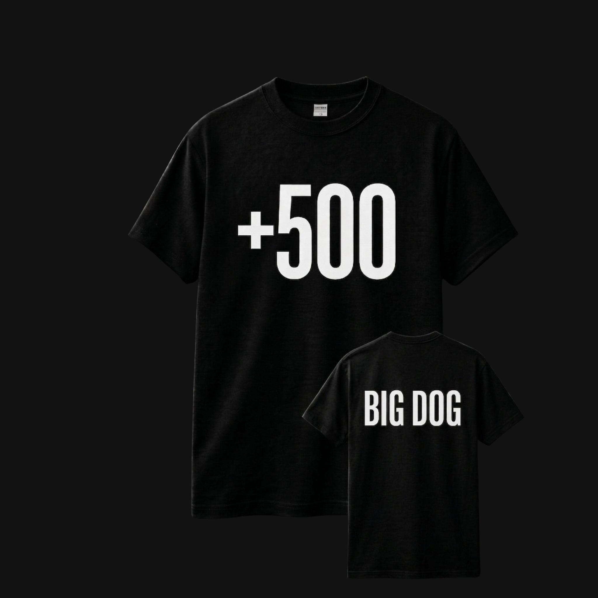 +500/ BIG DOG
